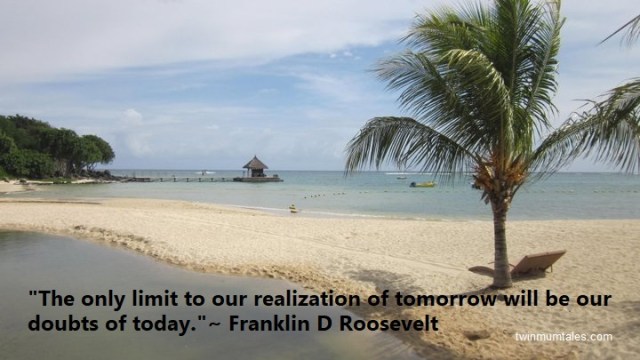 Roosevelt quote